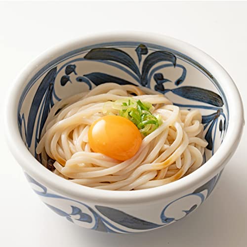 Sanuki Japanische Udon-Nudeln 360g