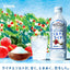 ソルティライチ 500ml