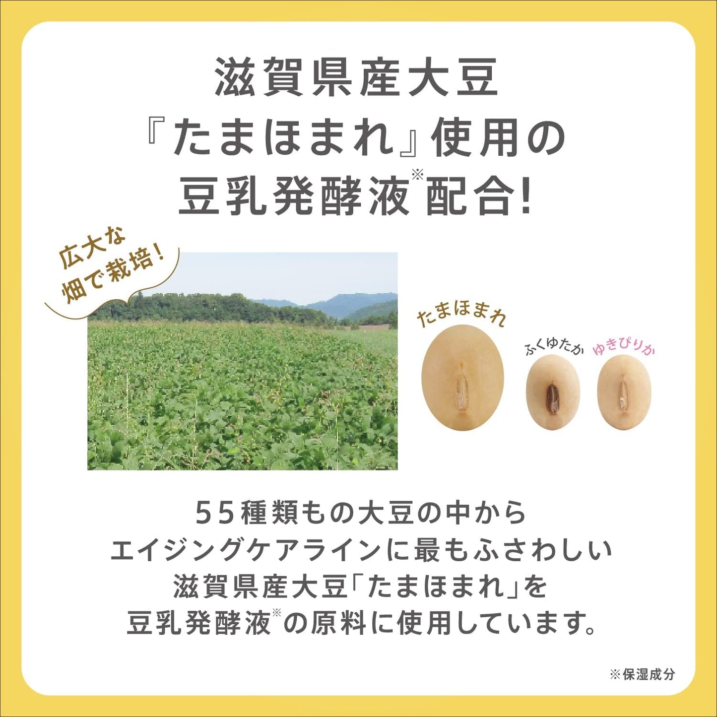 Faltenemulsion "Soja-Isoflavone, reines Retinol" [Nameraka Honpo]