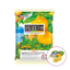 Konjac Batake Jelly "Satsuma Mandarin" 10 pieces
